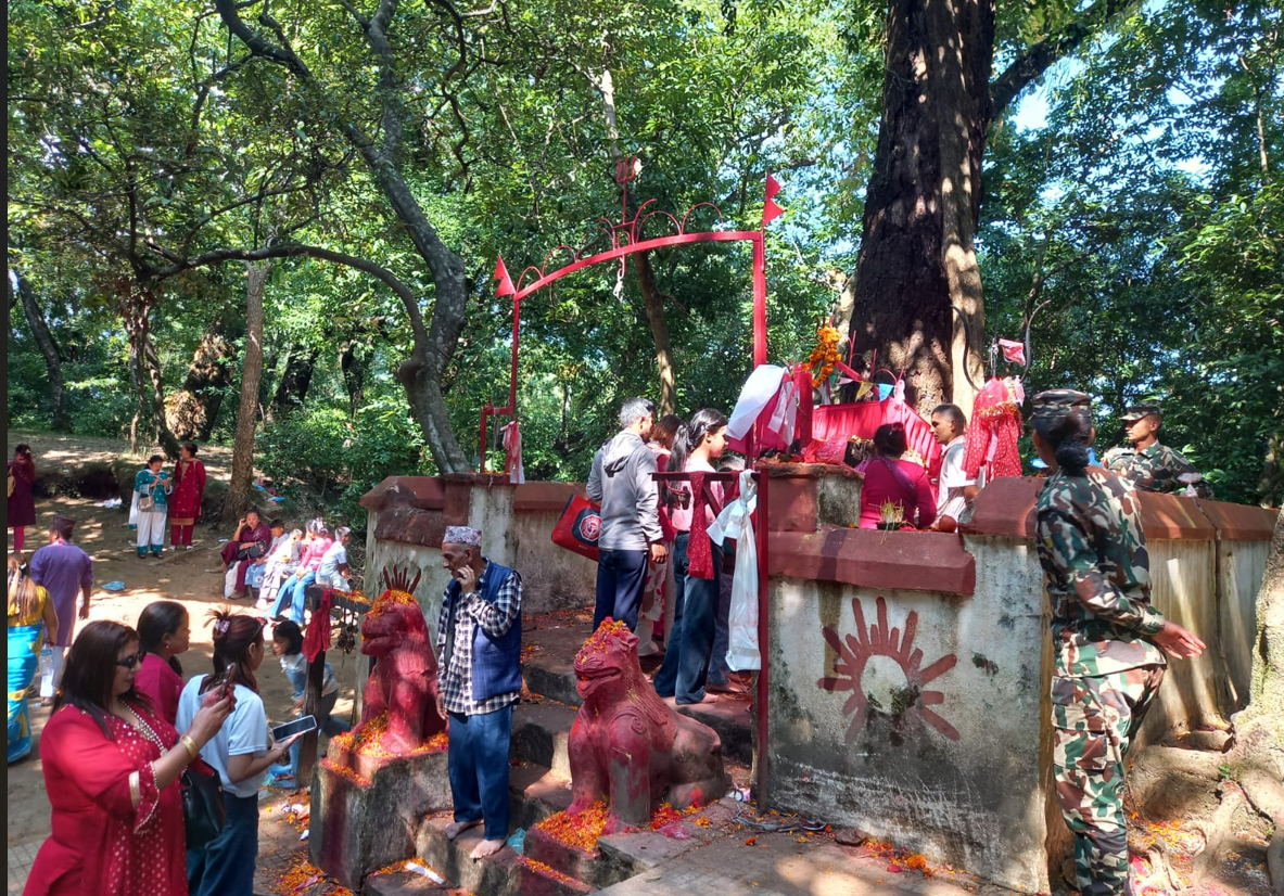 गोकर्ण जंगलको वनदेवीमा दर्शनार्थीको लाम