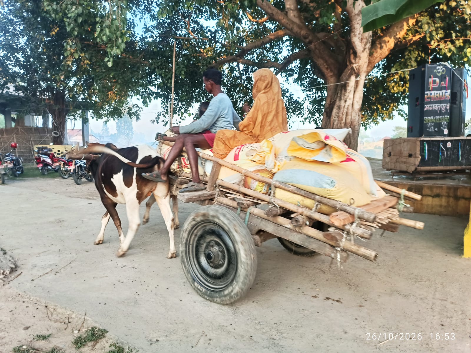 कृषि उत्पादन ओसार्न बैलगाडाकै भर